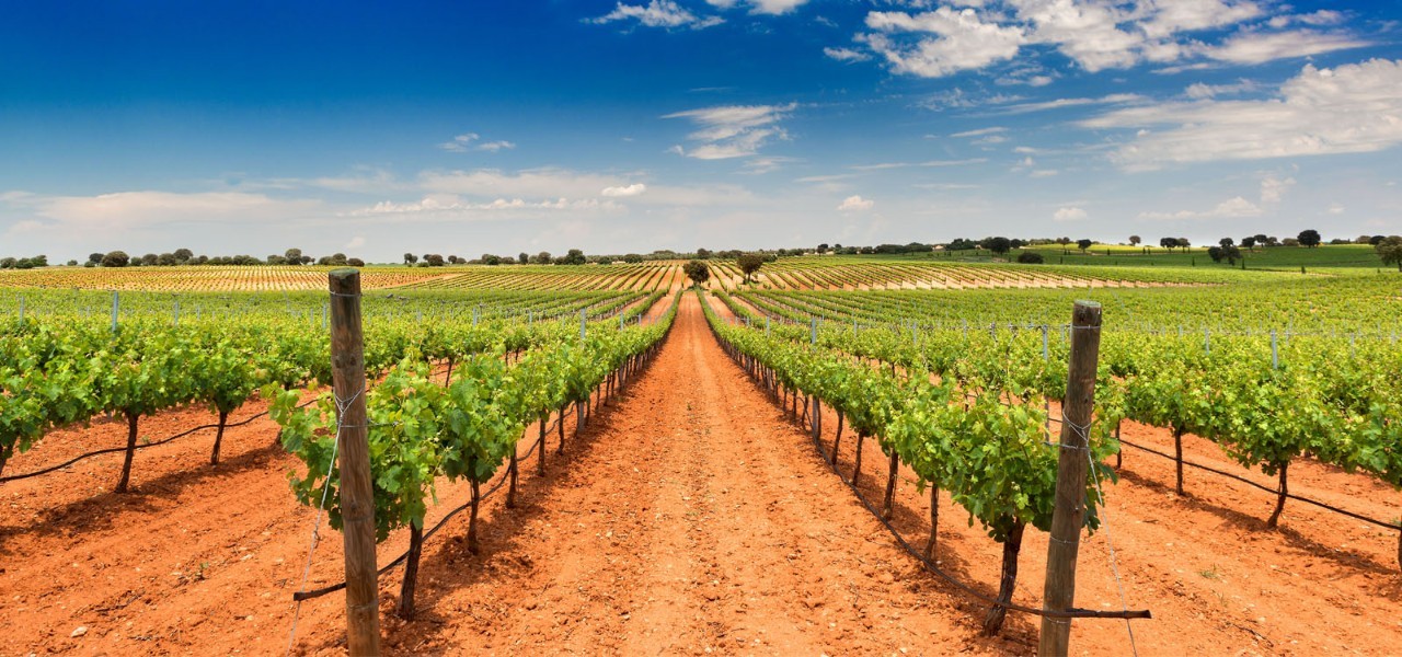 西班牙酒粉必知 十大经典葡萄酒产区