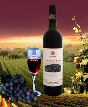 国产红酒 最新产品参考信息与选购指南